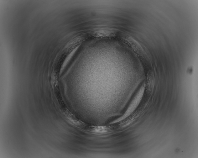 X0000097840091200803281234