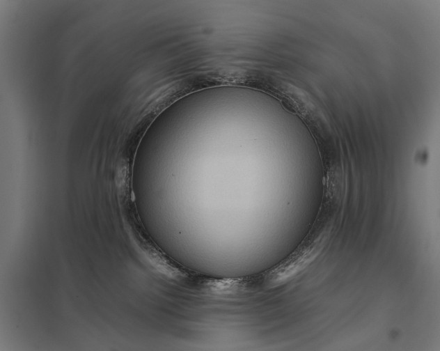 X0000097840092200803281234