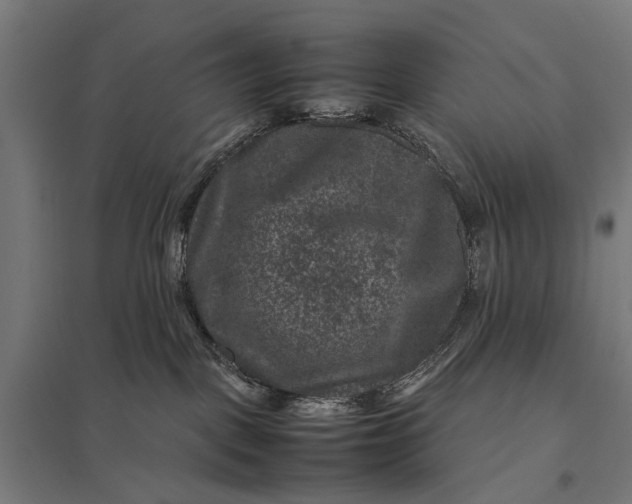 X0000097840093200803281234