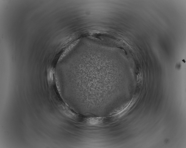 X0000097840094200803281234