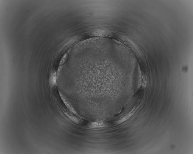 X0000097840095200803281234