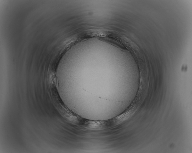 X0000097840096200803281234
