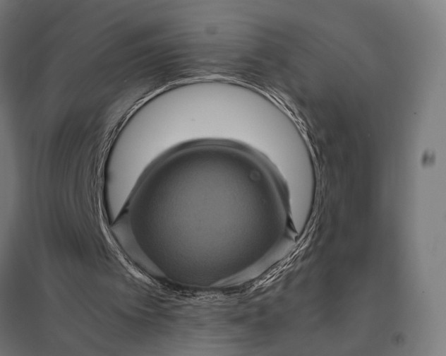 X0000097840097200803281233