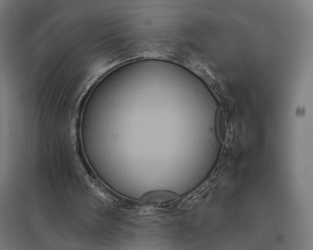 X0000097840098200803281233