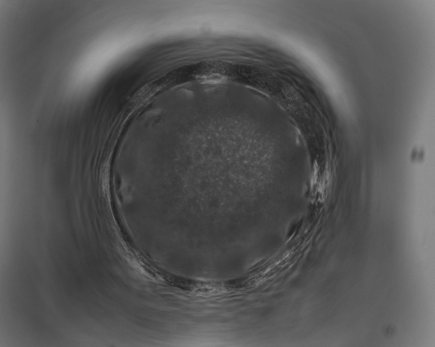 X0000097840099200803281233