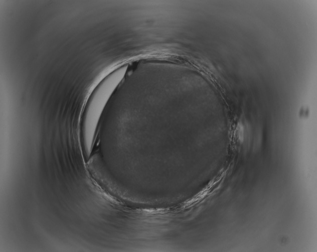 X0000097840100200803281233