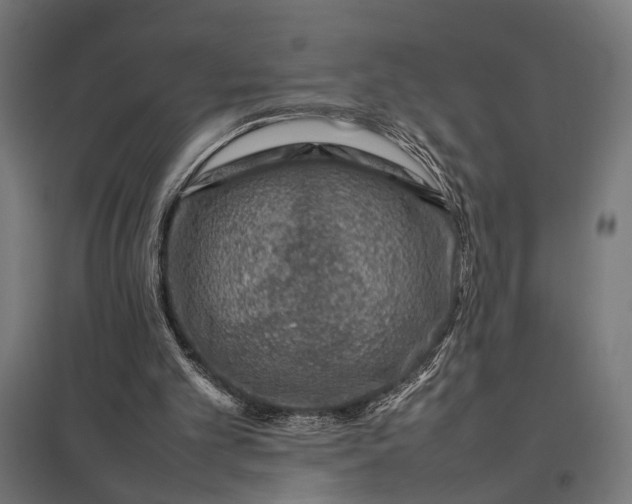 X0000097840101200803281233