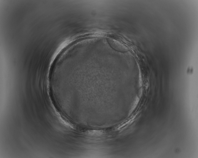 X0000097840102200803281233