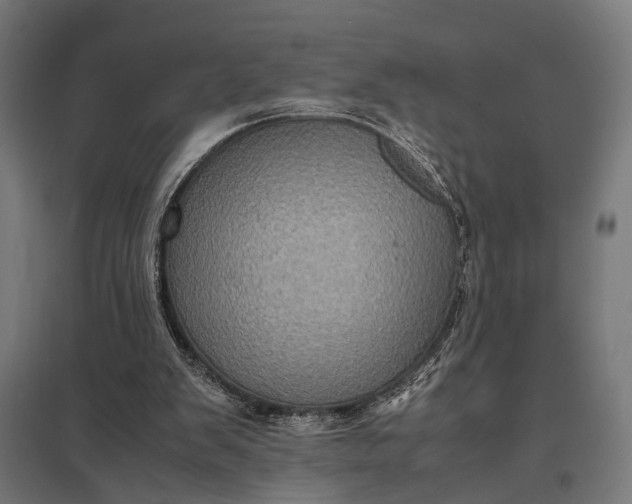 X0000097840103200803281233