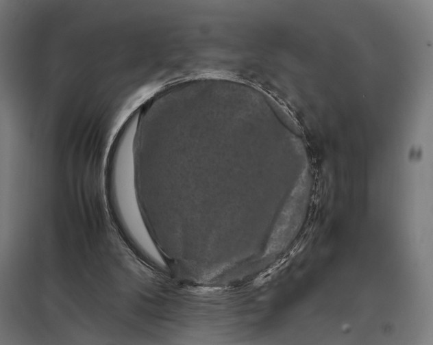 X0000097840104200803281233