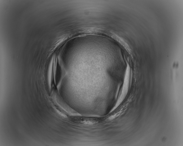 X0000097840105200803281233