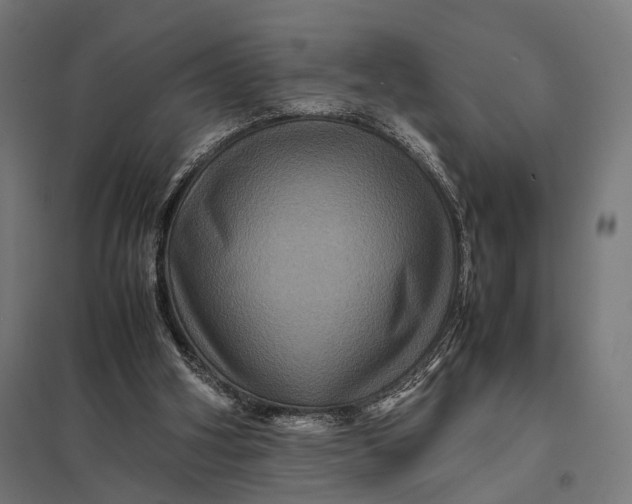 X0000097840106200803281233