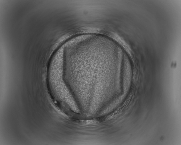 X0000097840107200803281233