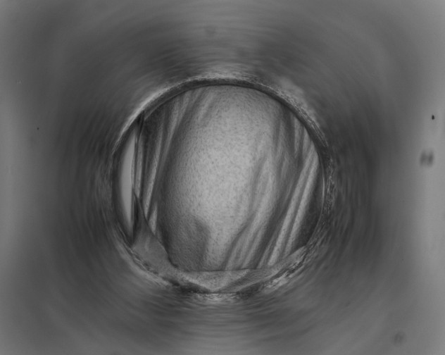 X0000097840108200803281233