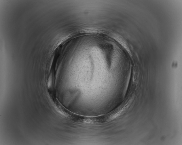 X0000097840109200803281233