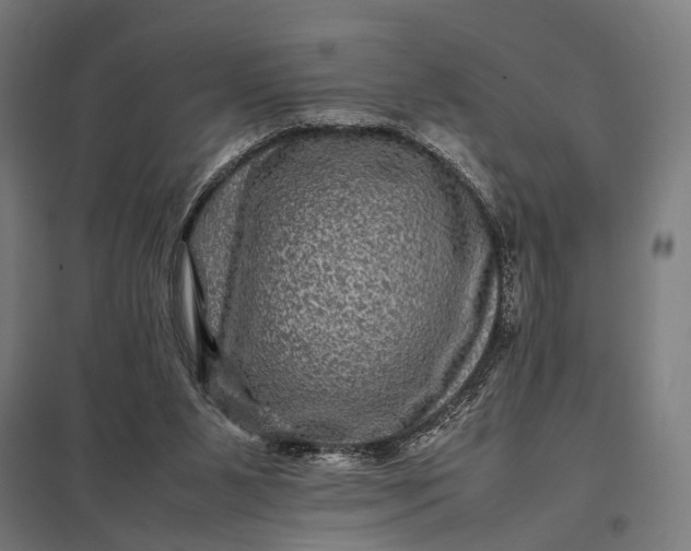 X0000097840111200803281233