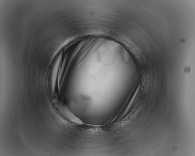 X0000097840112200803281233