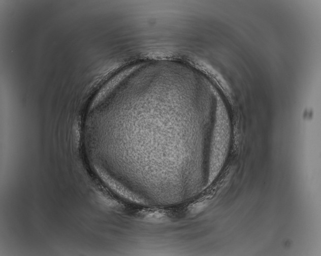 X0000097840113200803281233