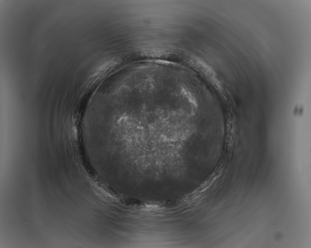 X0000097840114200803281233