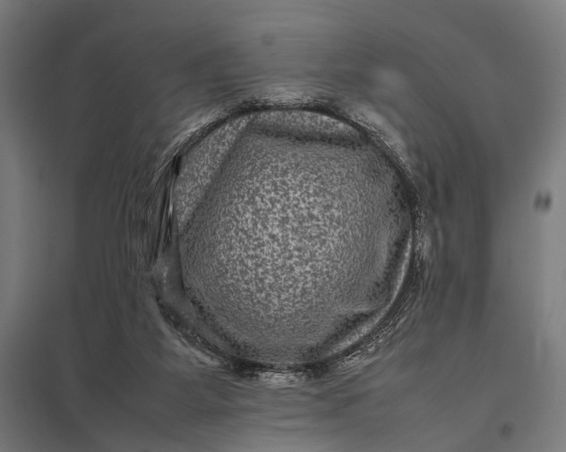 X0000097840115200803281233