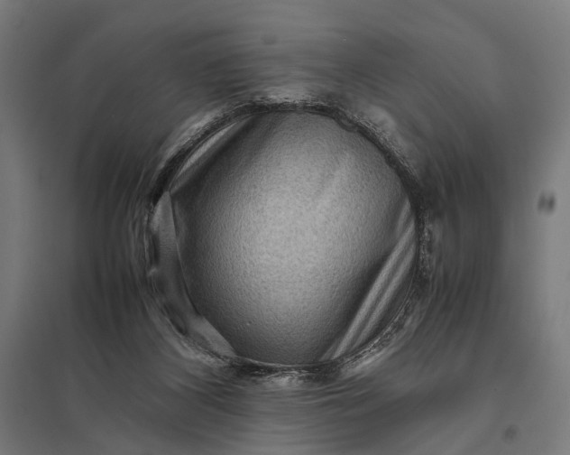 X0000097840116200803281233