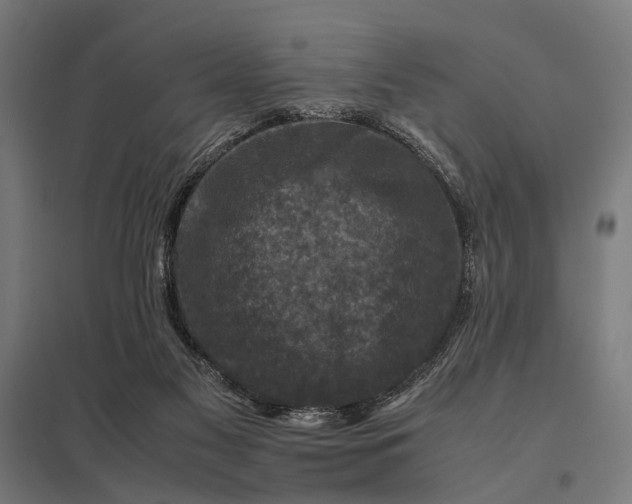 X0000097840117200803281233