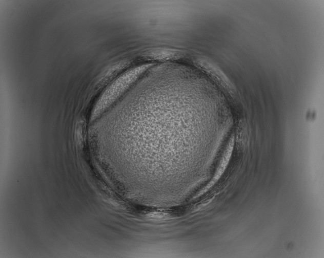 X0000097840119200803281233