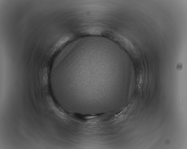 X0000097840120200803281233
