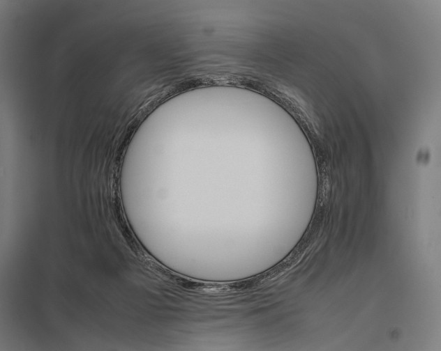 X0000097840121200803281233