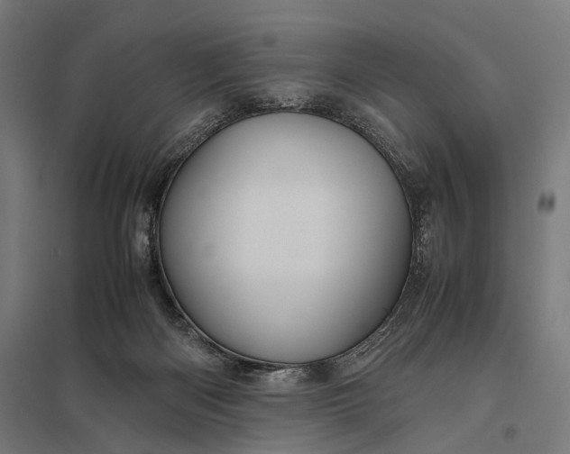X0000097840122200803281233