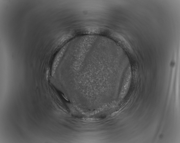 X0000097840123200803281233