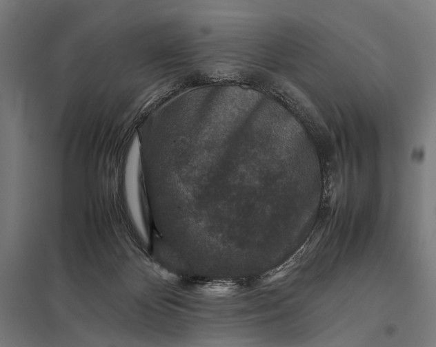 X0000097840124200803281233