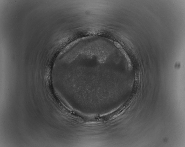 X0000097840127200803281233