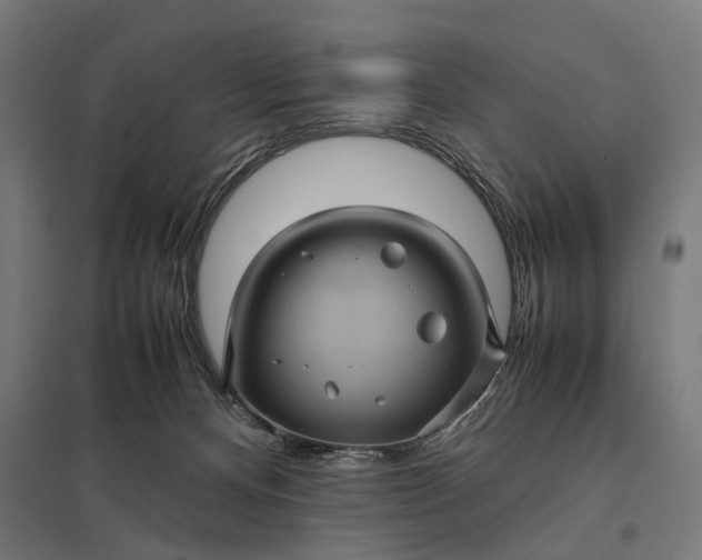 X0000097840128200803281233