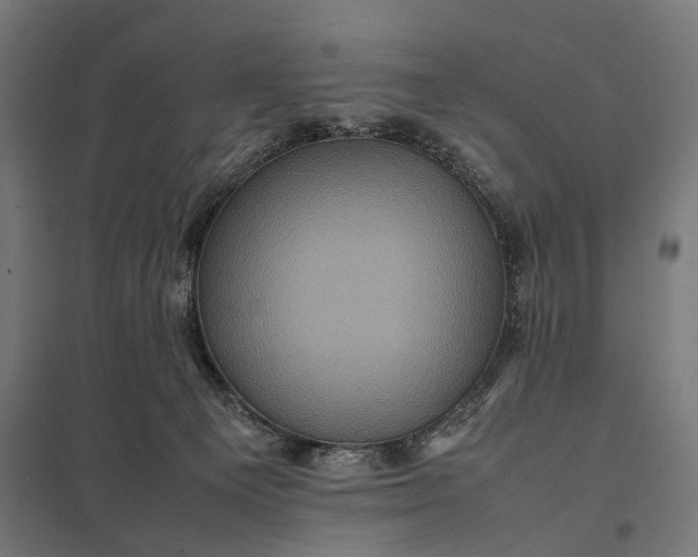 X0000097840129200803281233