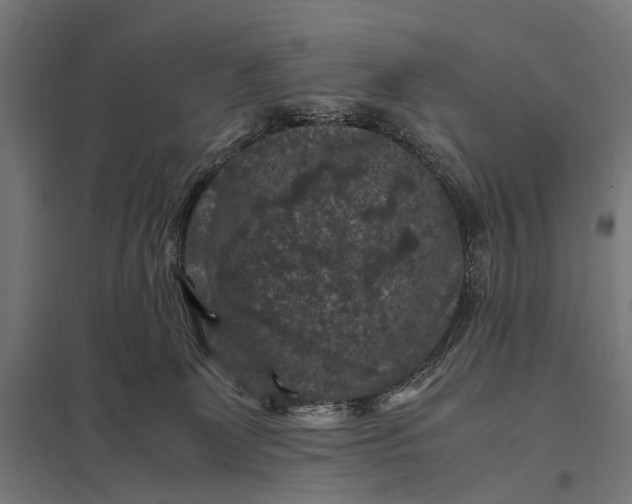 X0000097840131200803281233