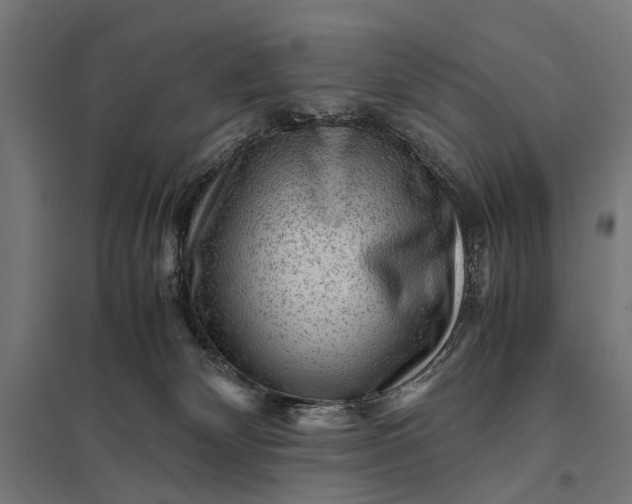 X0000097840132200803281233