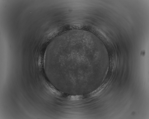 X0000097840134200803281233