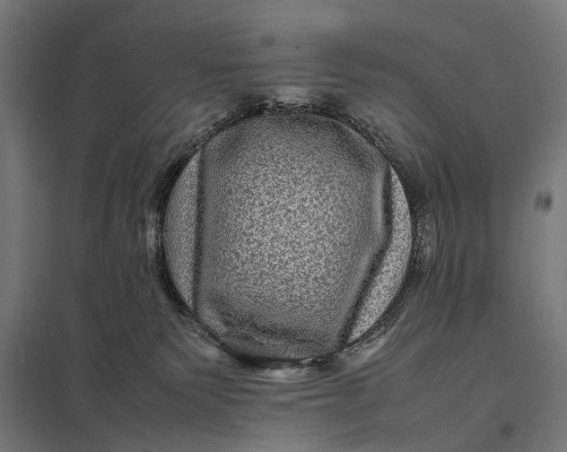 X0000097840135200803281233