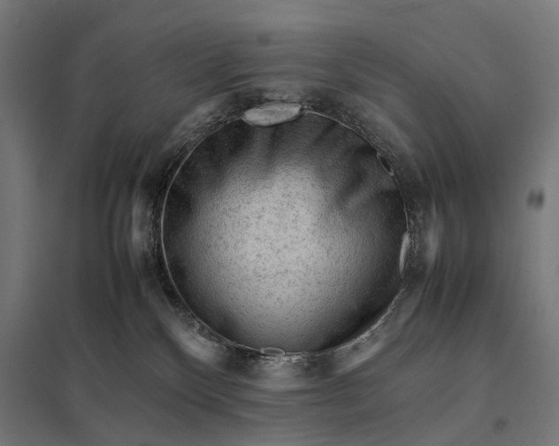 X0000097840136200803281233