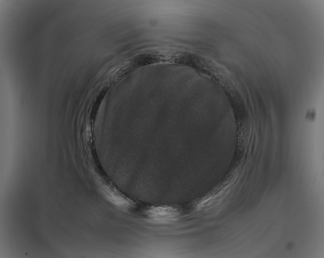 X0000097840137200803281233