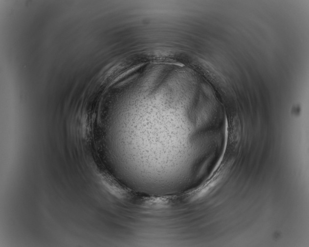 X0000097840140200803281233