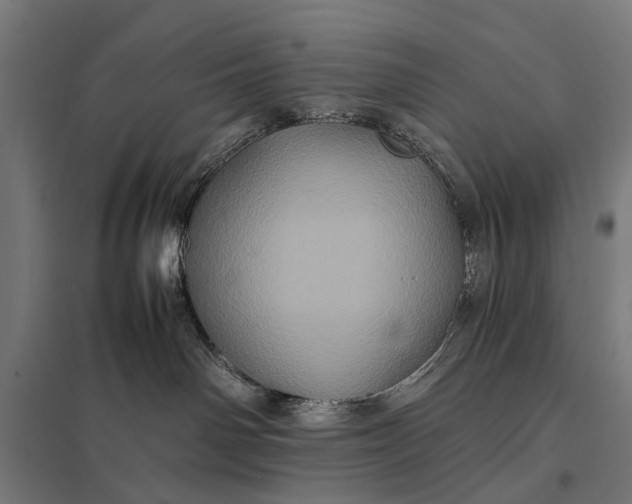 X0000097840142200803281233