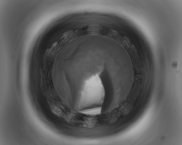 X0000097840143200803281233