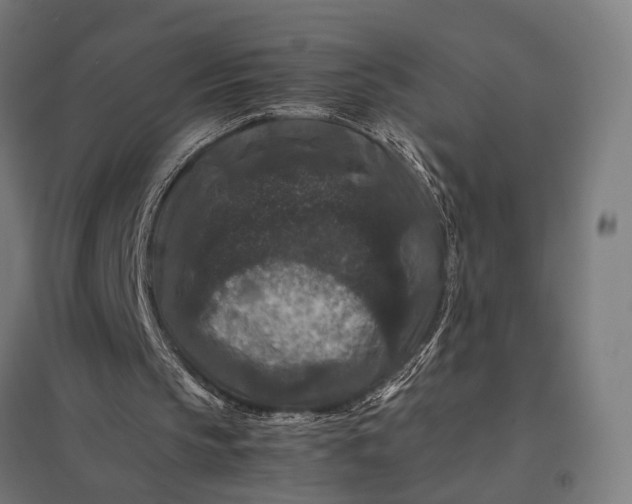 X0000097840145200803281232
