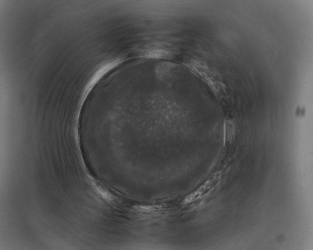 X0000097840147200803281232