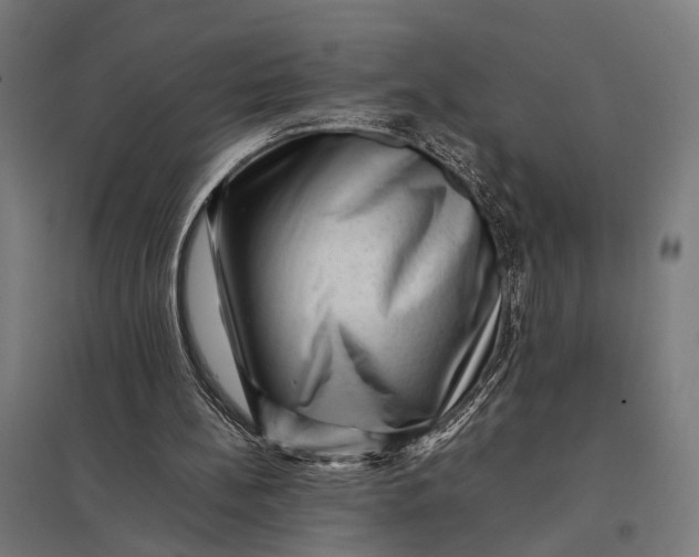 X0000097840148200803281232