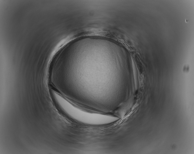 X0000097840150200803281232
