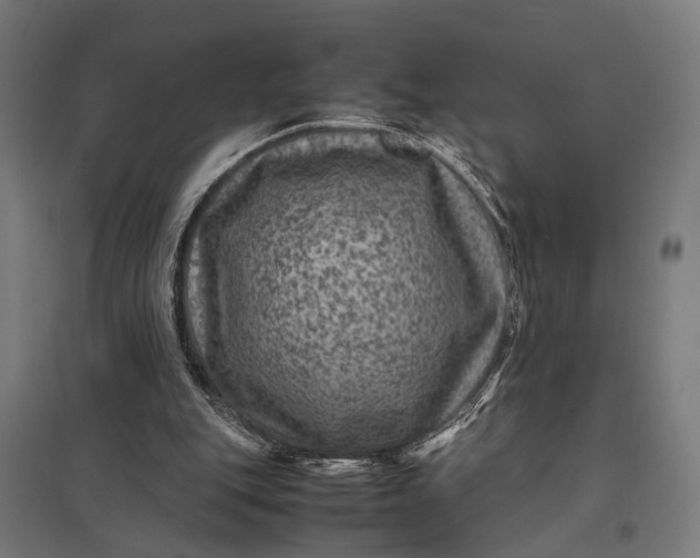 X0000097840151200803281232
