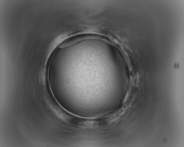 X0000097840152200803281232